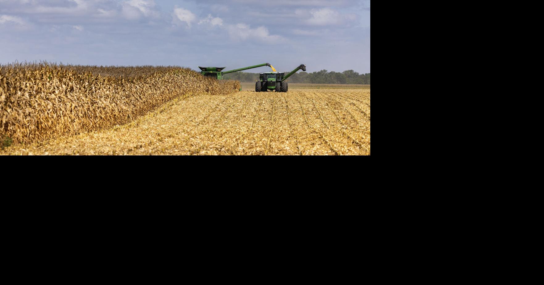Harvest progressing ahead of average pace | Crop Conditions ...