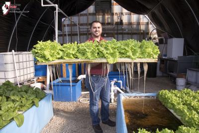 Bureau County farm offers ‘whole salad,’ new on-farm retail store