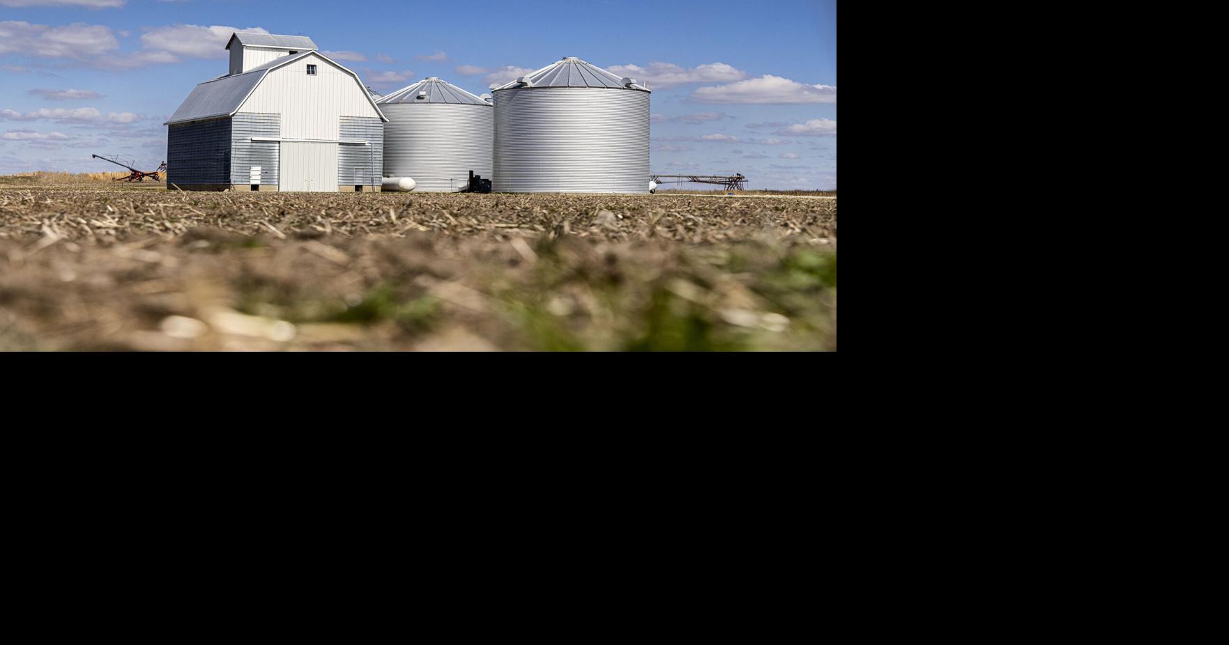CoBank report Grain storage costs on the rise Profitability