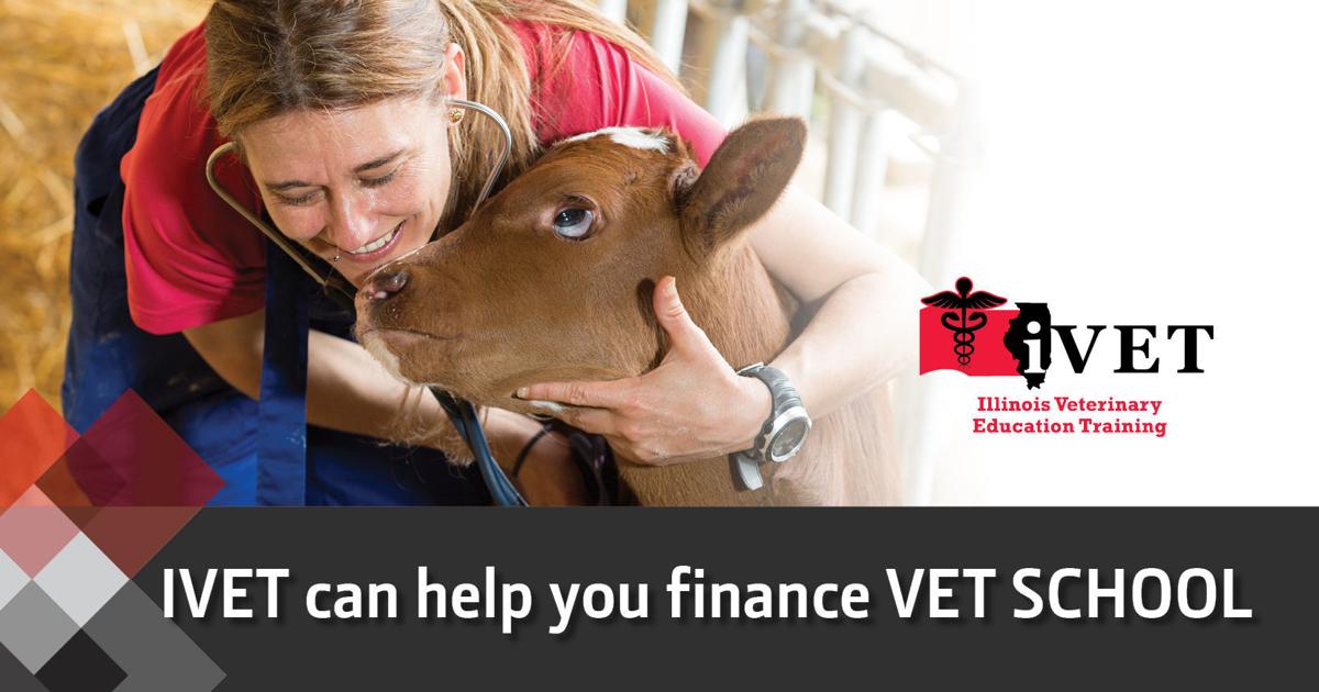 IFB offers financial assistance to veterinary students General