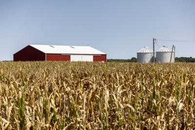 Dry conditions heighten crop maturity, fire risk | General ...