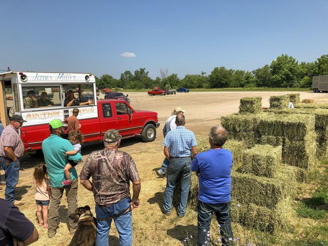 Hay supplies, pasture quality declining in drought Crop Conditions
