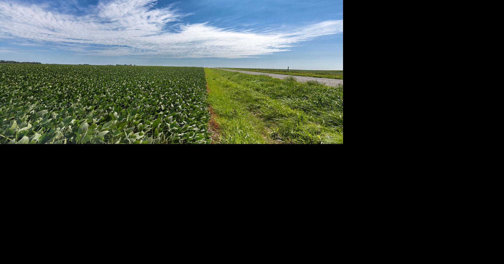 Farm loan delinquency rates steady compared to last year | Perspectives ...
