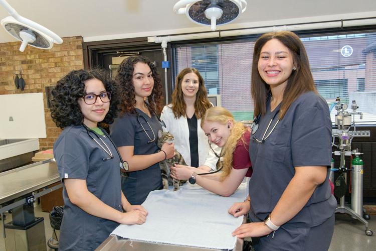 Student finds ideal animal health career path General