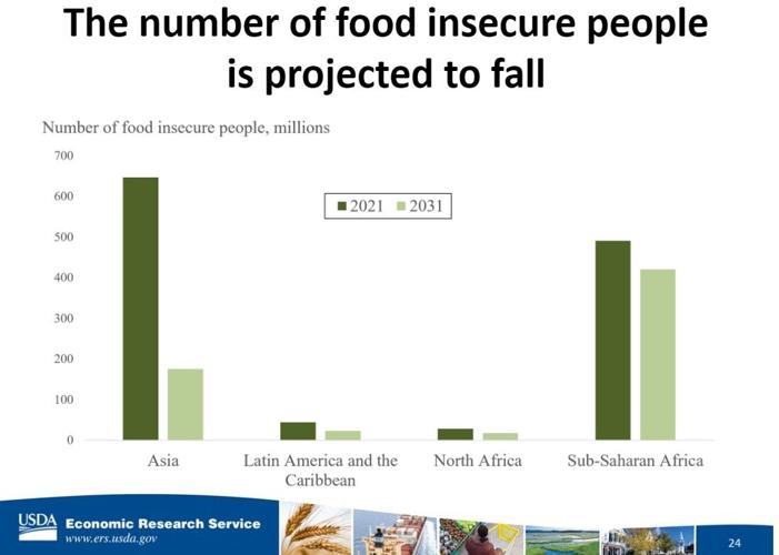 Report shows increased international food insecurity | National ...