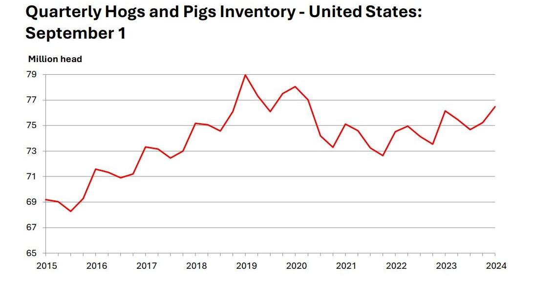 Hog Rise U.S. hog inventory on the rise | Livestock | farmweeknow.com