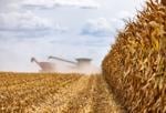 Biofuels belong in Illinois’ clean energy future – FarmWeekNow Biofuels belong in Illinois’ clean energy future – FarmWeekNow
