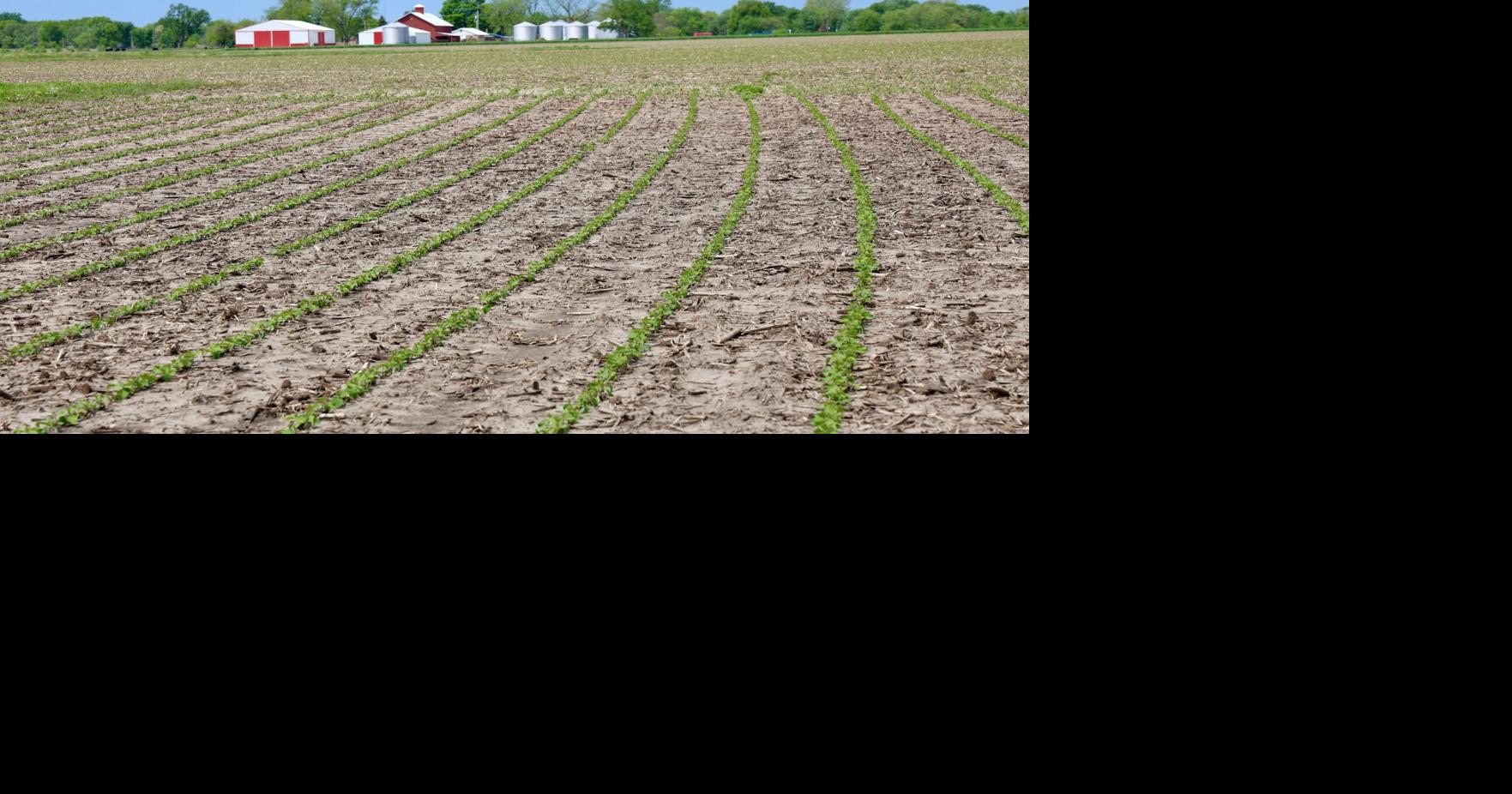 Wide range of planting progress statewide | Crop Conditions ...