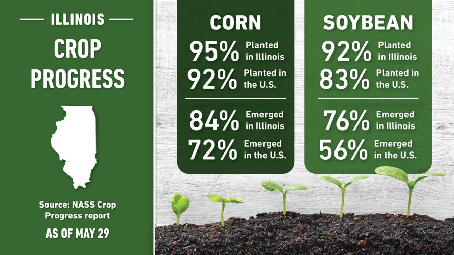 Illinois crop conditions, May 29