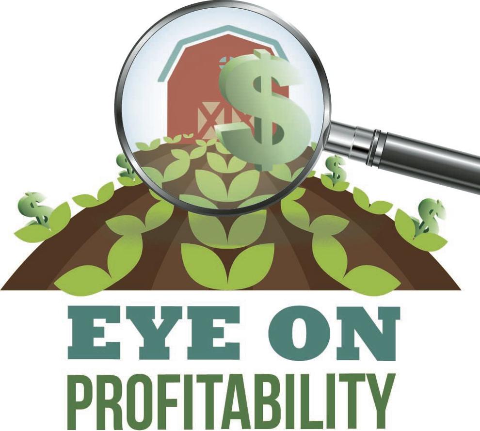 Analysis identifies differences in profitability among farms