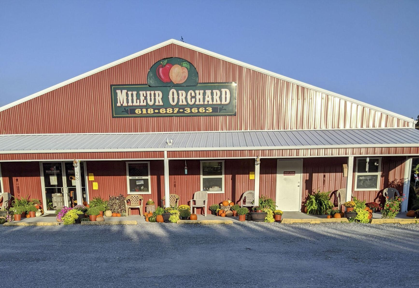 Jackson County orchard sweet spot to enjoy fruits of the season State