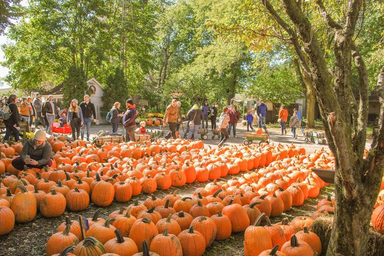 Apple orchards, pumpkin patches fall customers General