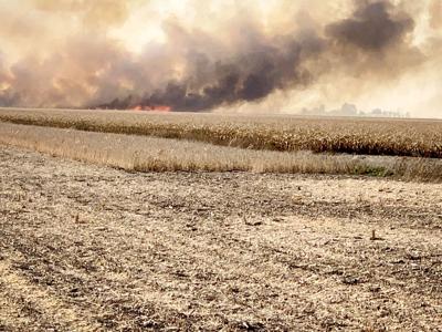 Climatologist: Field fire risk eases, winter outlook appears wet | Crop ...