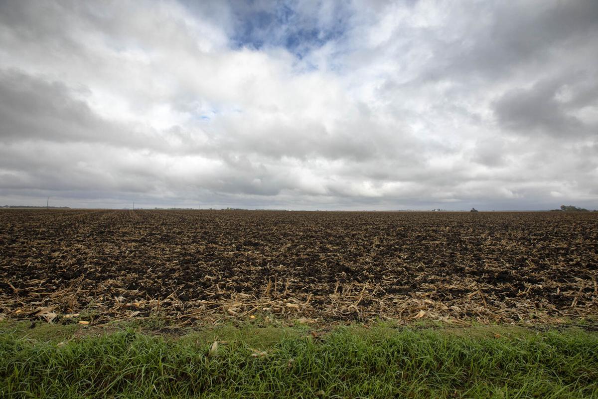Strategy key to deal with fertilizer market challenges