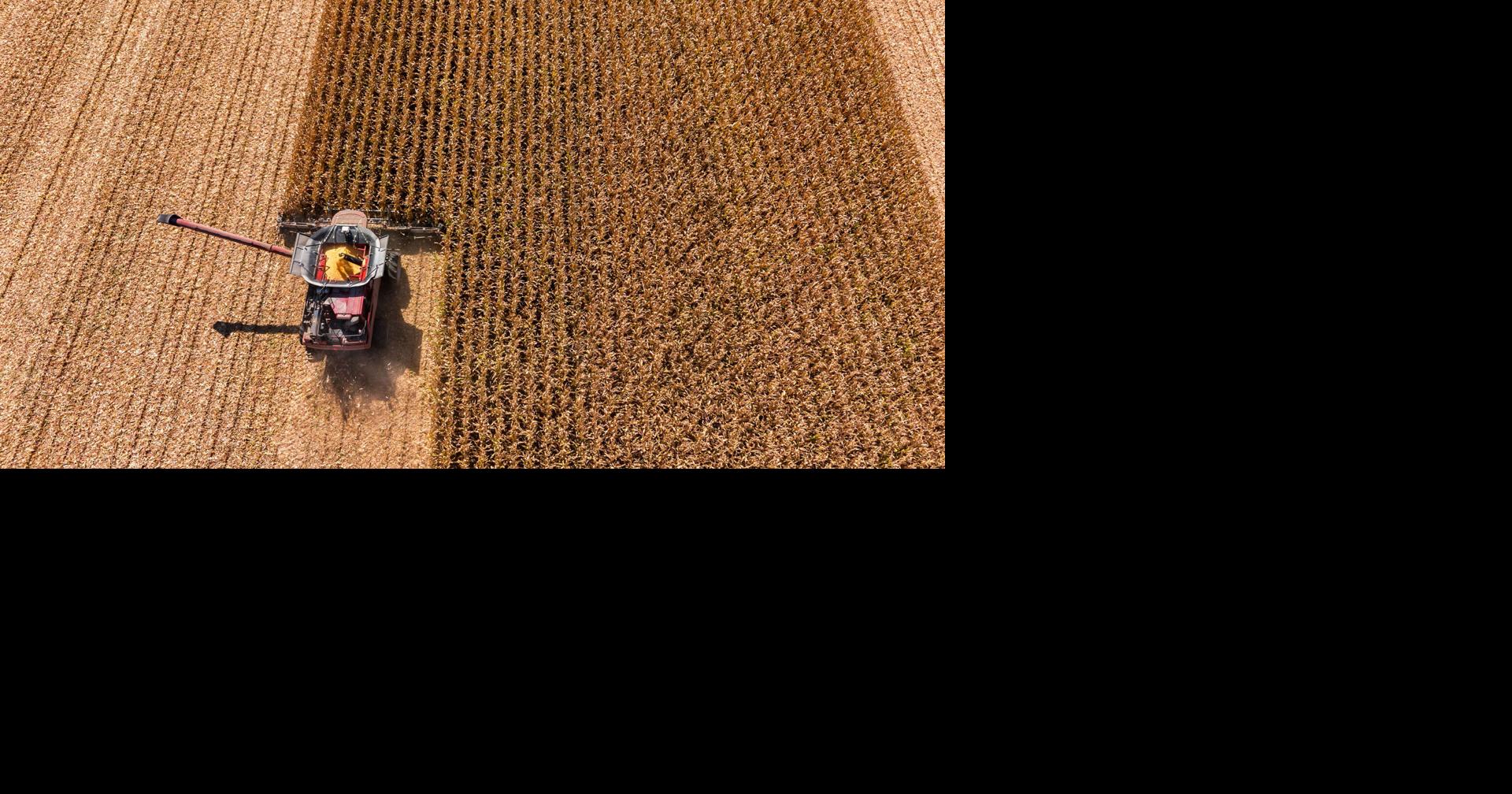 IFB farm bill group begins work | National | farmweeknow.com