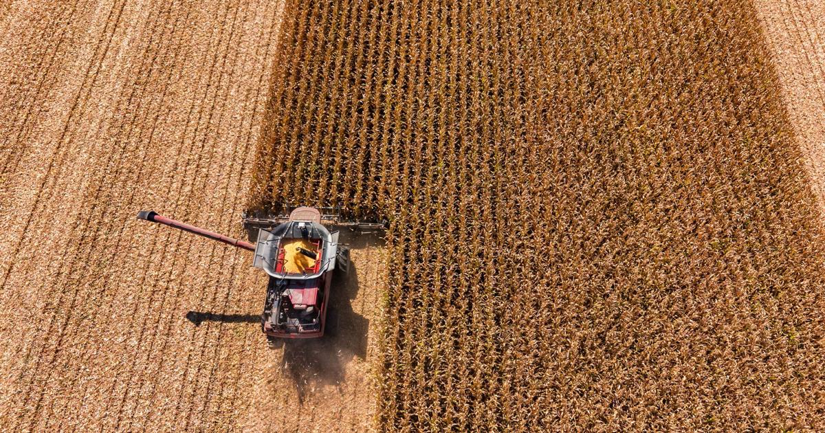 IFB farm bill group begins work | National | farmweeknow.com