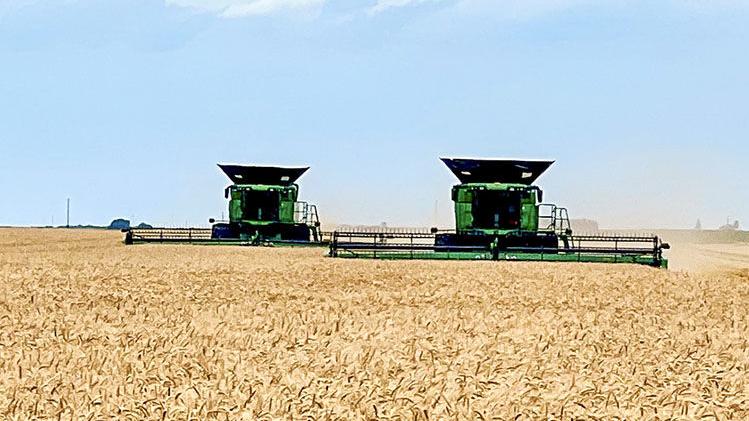 Wet conditions slow wheat harvest in central, northern Illinois