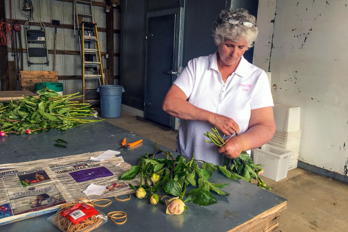 Customers Buzzing To Peony Hill Farm S Fragrant Blossoms State Farmweeknow Com