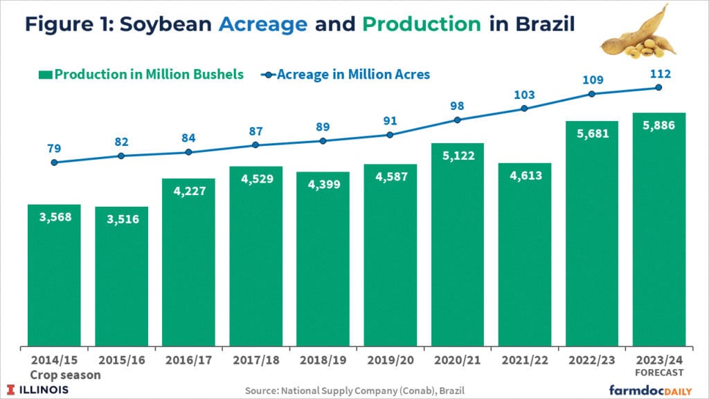 How C&A Has Increased Sales In Brazil Despite the Unfavorable Macroeconomic  Climate