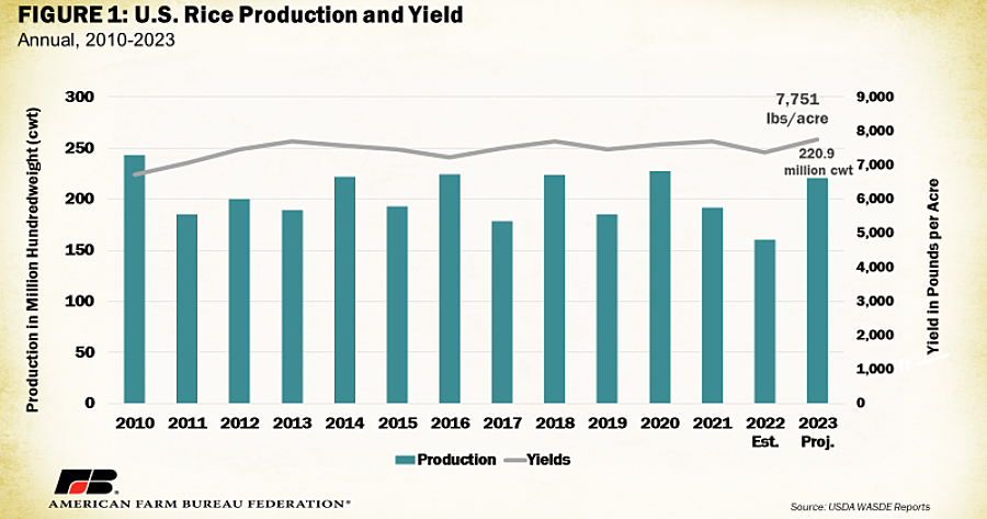 September WASDE: Ringing in 50 years with reduced corn, soybean yields ...