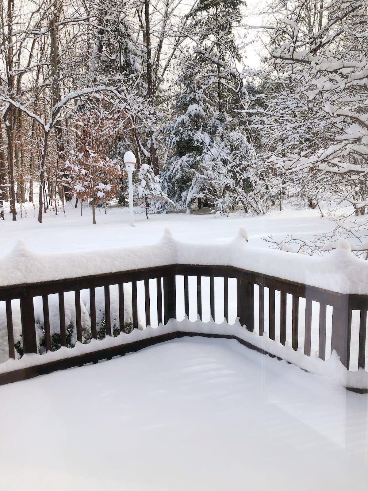 jan snow_Rachel Giampa New Baltimore.jpg