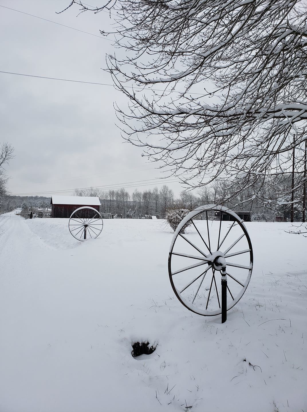 jan snow_Raechel Brown.jpg