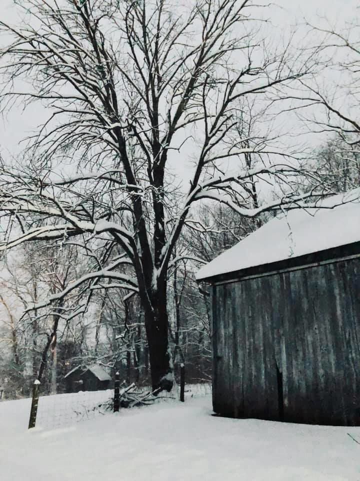 jan snow_Samantha Walker Upperville.jpg