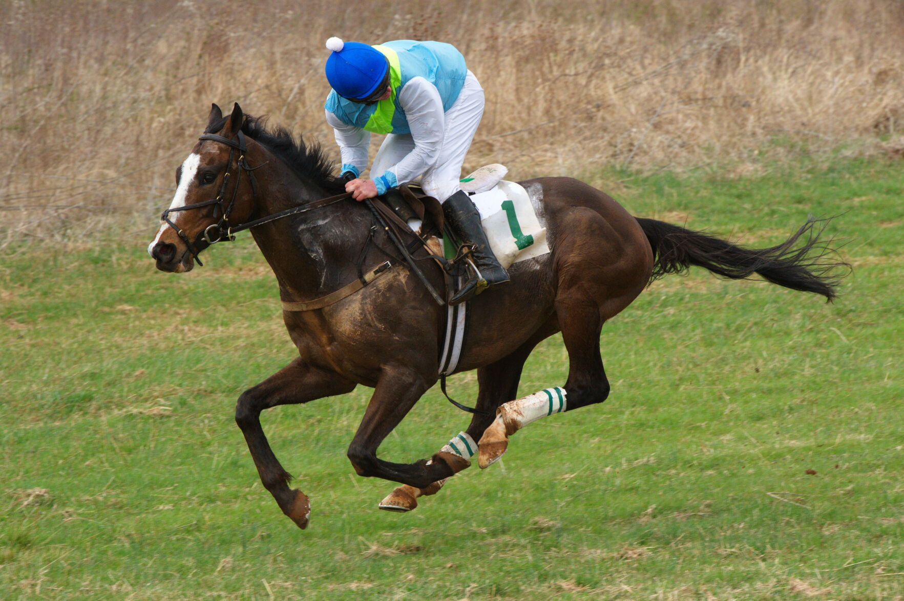 Champion jockey warms up for what he hopes is a repeat season at Airlie