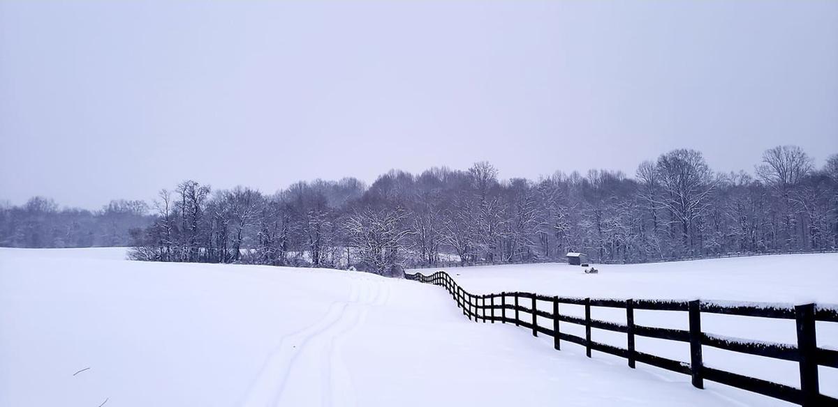jan snow_Sharon Haney Hodgson Orlean2.jpg