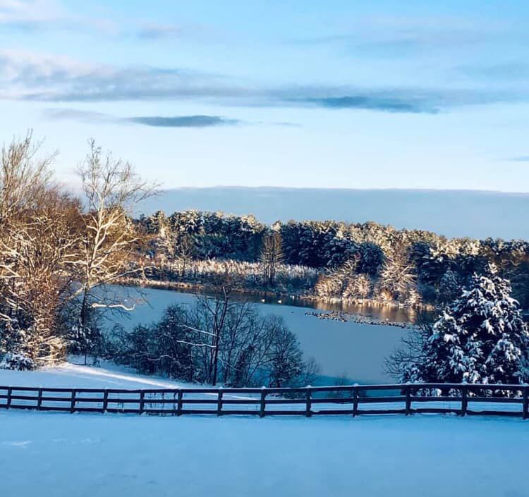 jan snow_Stanley Vincent Stevens My neighbors view.jpg