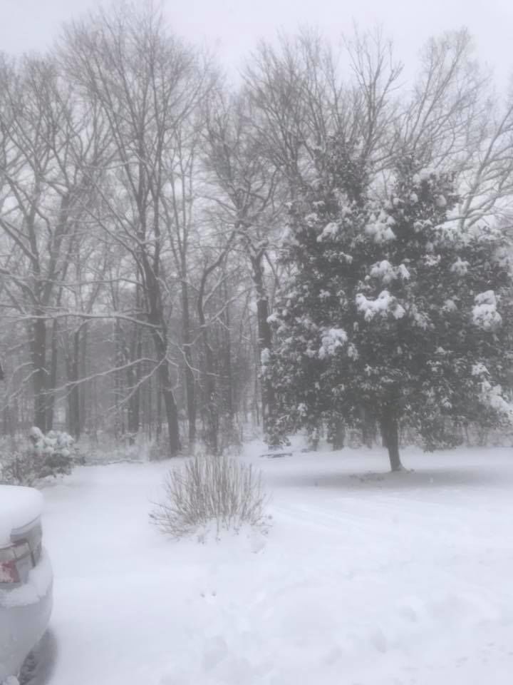 jan snow_Toni Eversole.jpg