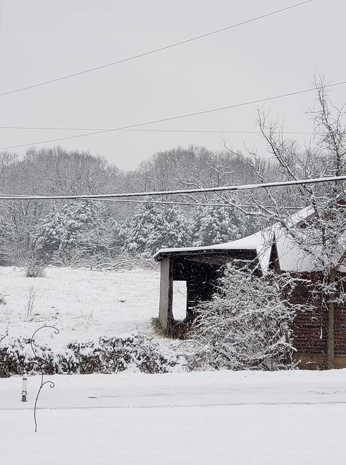 jan snow_Tracy Hensley Bealeton.jpg