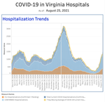 Screen Shot 2021-08-25 at 9.37.32 AM.png