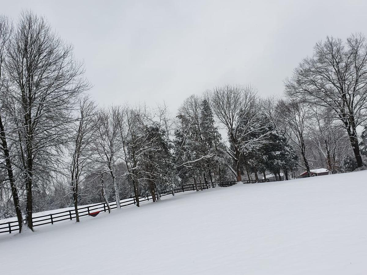 jan snow Heather Bacon.jpg