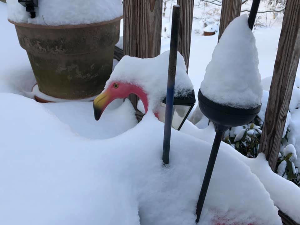 jan snow Irene Croushorn2.jpg