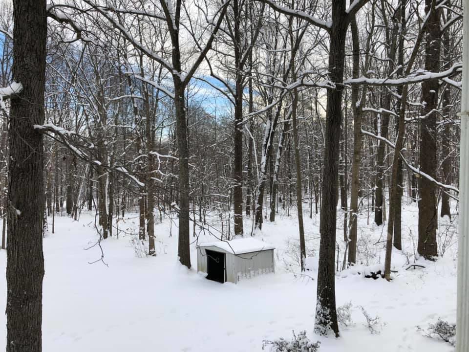 snow_Amanda LeClaire.jpg