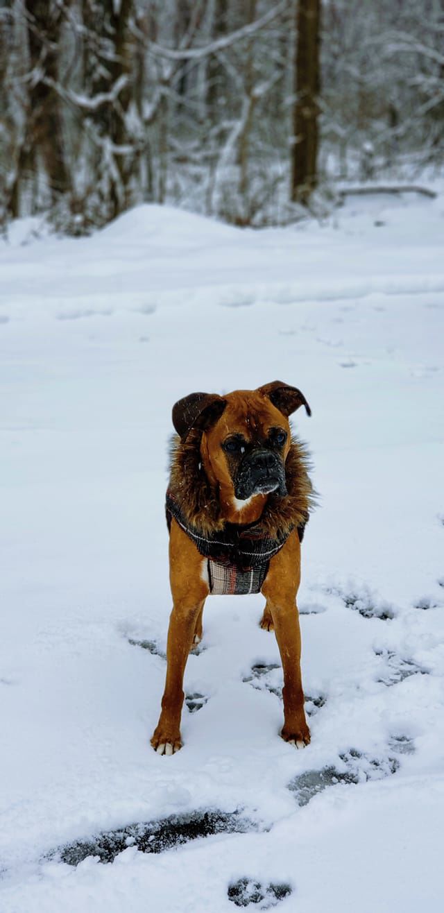 snow_Morgan Cahill.jpg