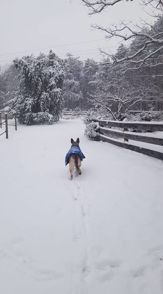 snow_Sarah Knies.jpg