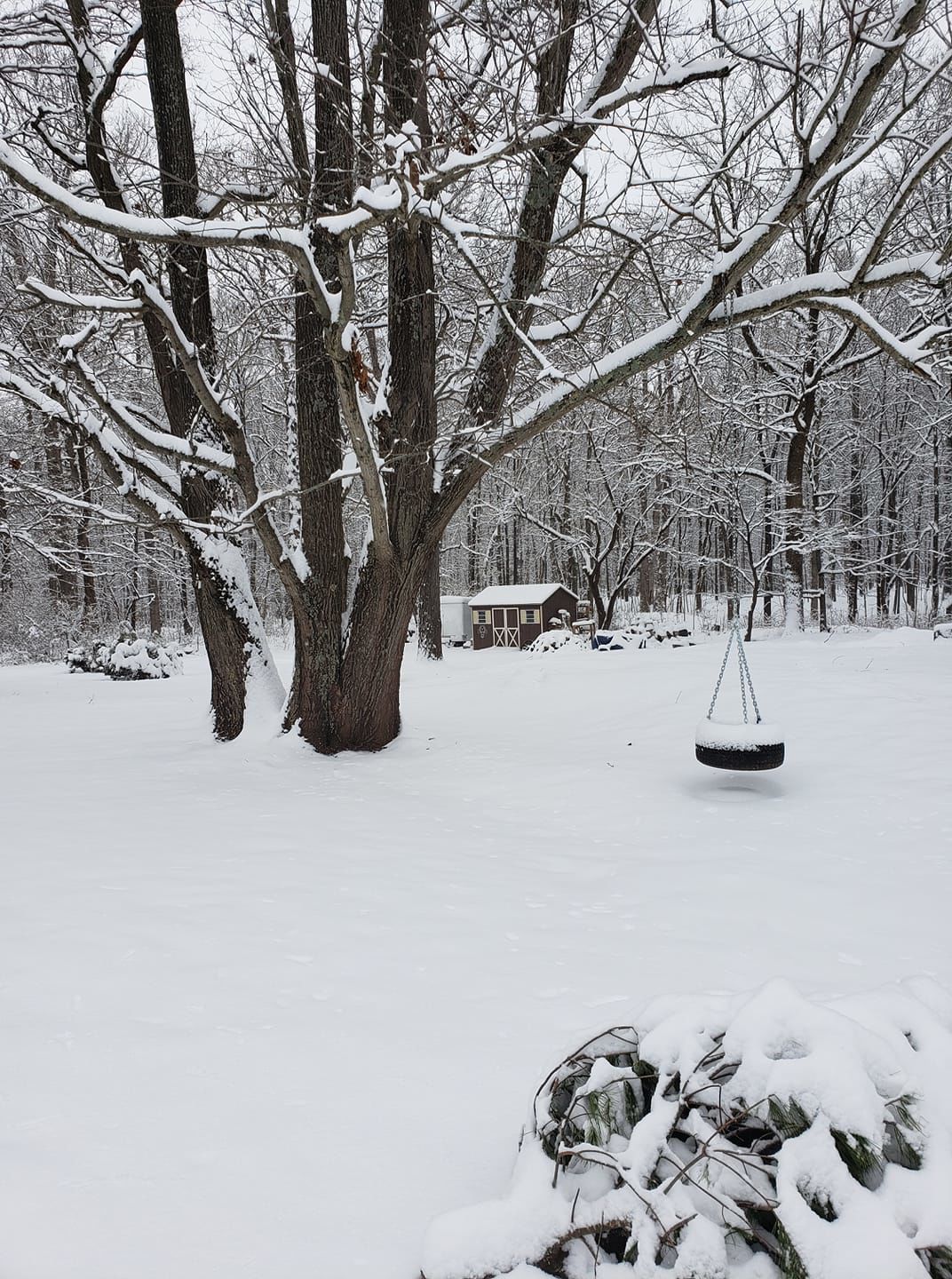 jan snow Julie Young Brewer.jpg