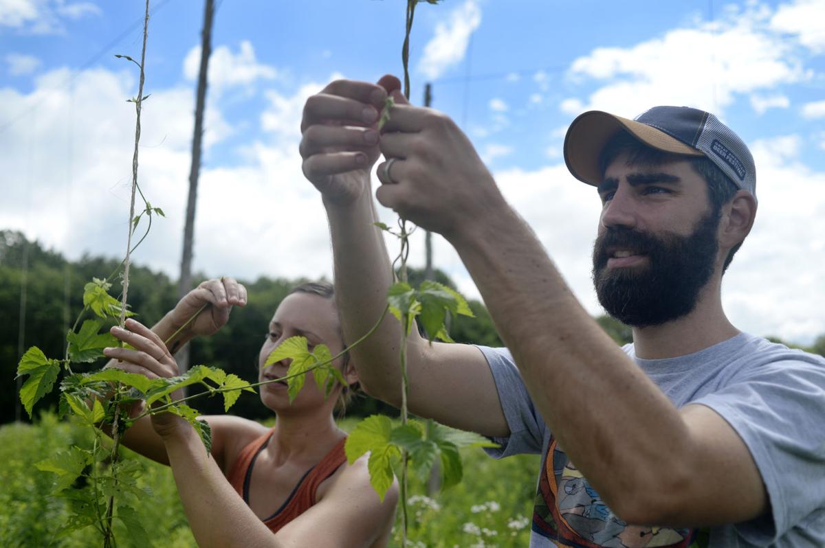 Beer Flows At New Powers Farm And Brewery News Fauquier Com