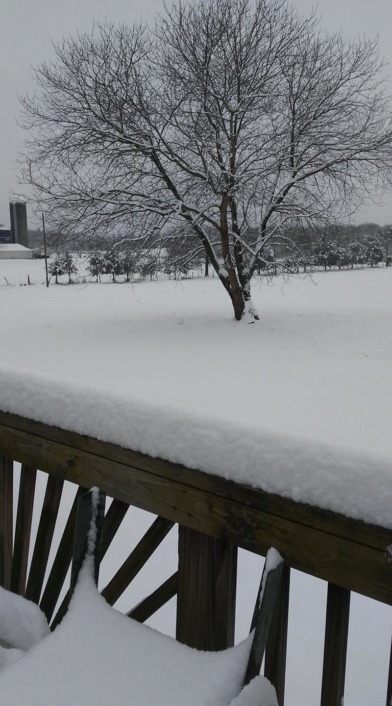 jan snow Sue Dye Hash Catlett.jpg