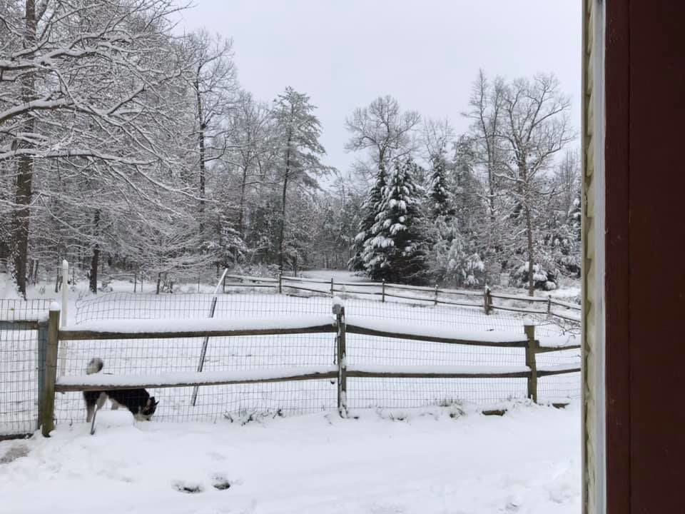 jan snow_Brittani Mayhugh.jpg
