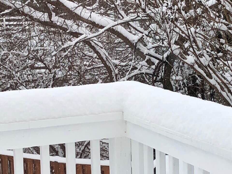 jan snow_David Ahlgren Town of Warrenton.jpg