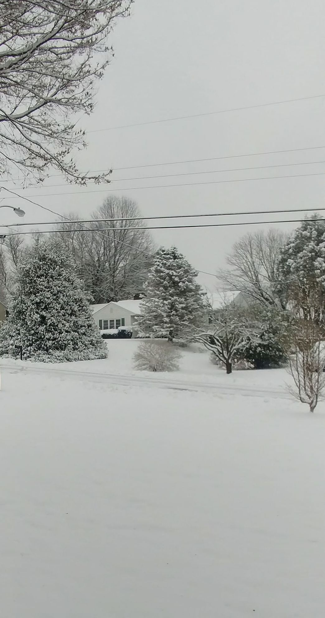 jan snow_Gris Chávez Blue Ridge St. Warrenton.jpg