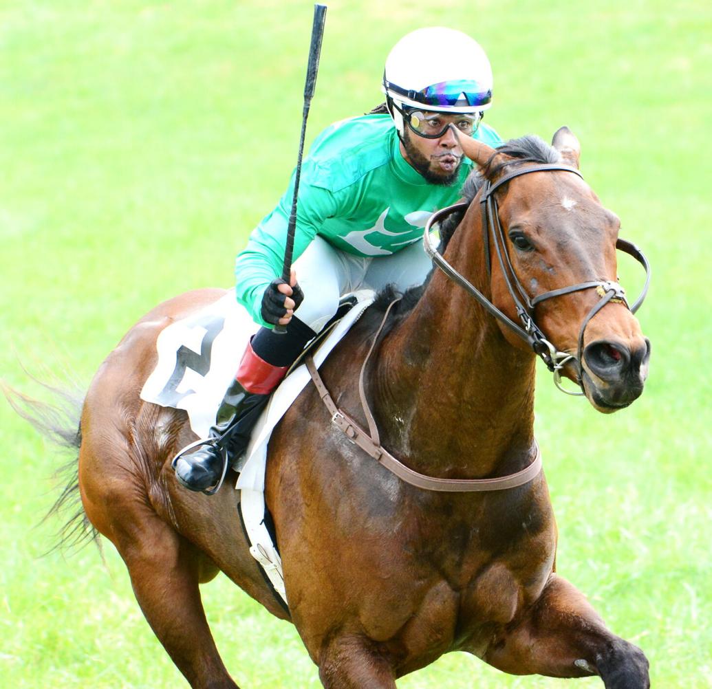 Virginia Gold Cup What's required of a horse, rider to win? News