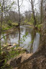 photo_ft_news_warrenton woods trail 12_041421.jpg