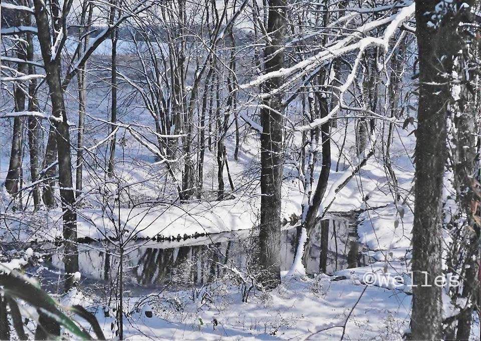jan snow_Welles Grey Bay.jpg
