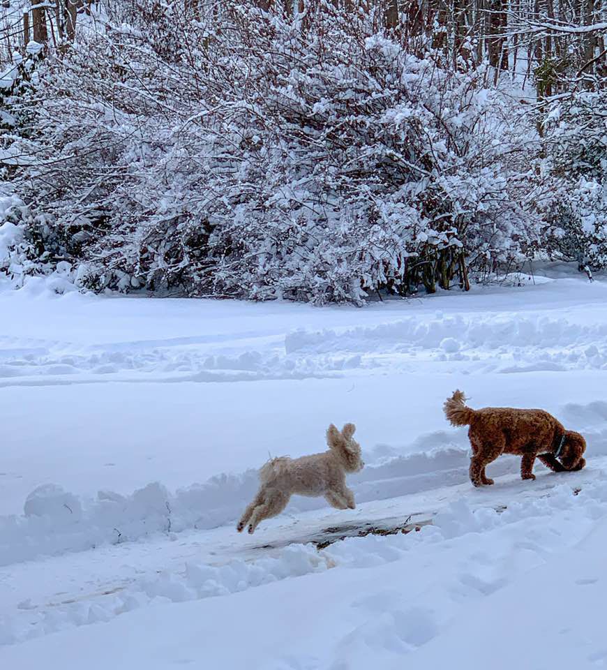 jan snow_Welles Grey Bay2.jpg