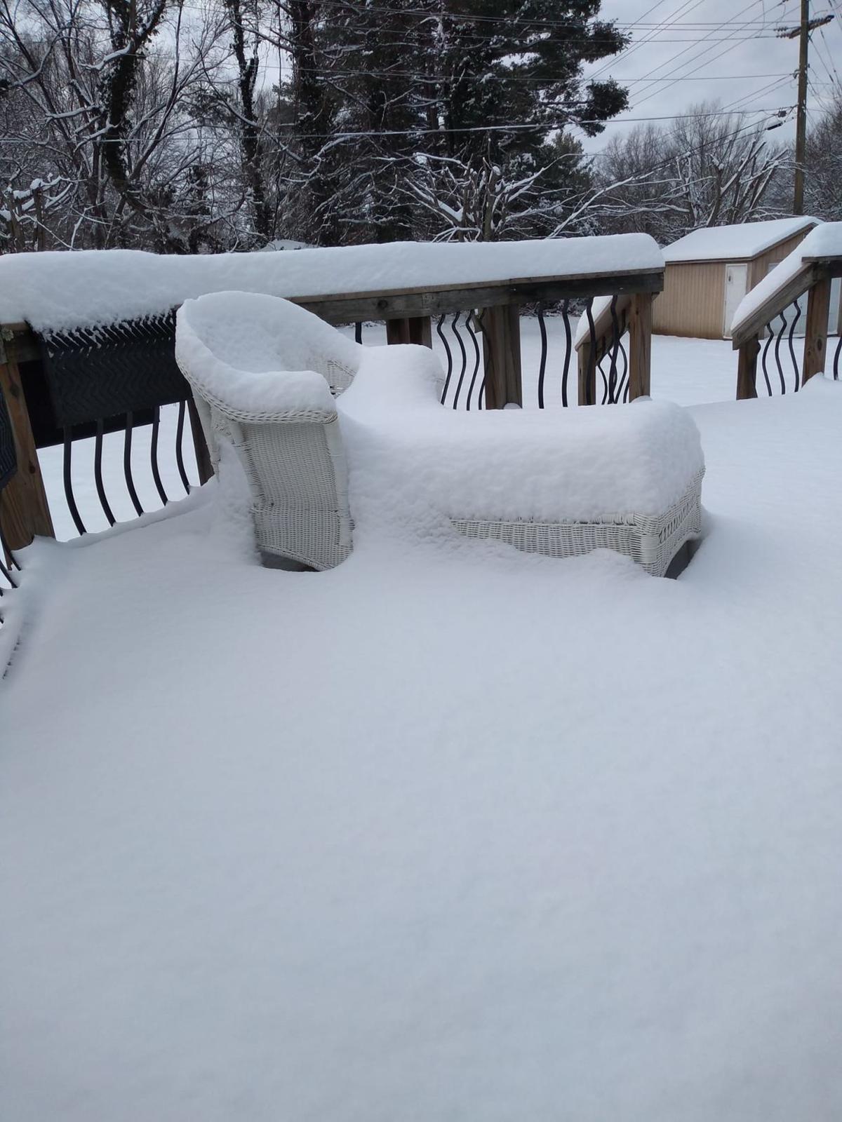 jan snow Gwen Odum.jpg