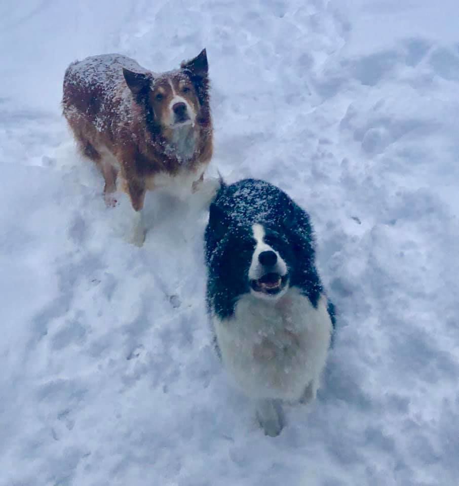 jan snow Marci Nadler.jpg